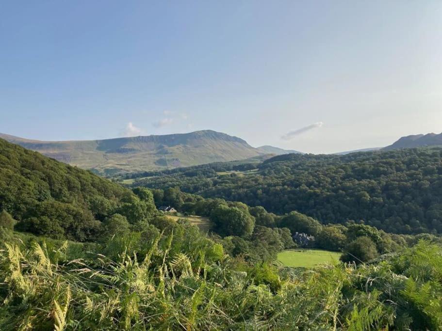 Y Gribyn - Modern Stone Cottage Within Snowdonia'S National Park Dolgellau Exterior foto