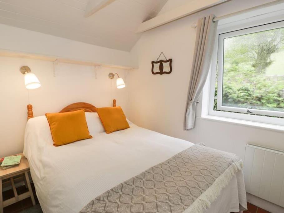 Y Gribyn - Modern Stone Cottage Within Snowdonia'S National Park Dolgellau Exterior foto